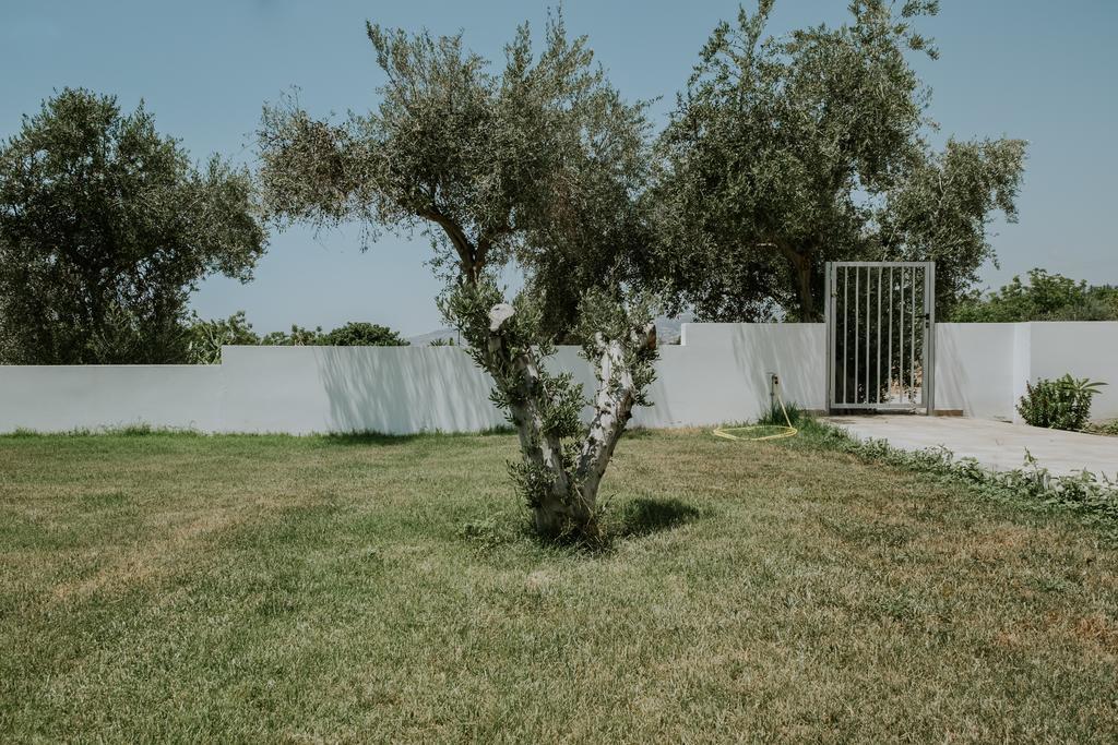 Villa Despoina Pafos Exterior foto